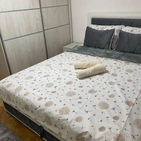 Ivanovic Apartament Vrnjačka Banja